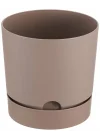 Begonya 21, 5 Litre