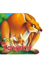 Ben Kimim? - Kanguru