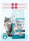 Bentonit Sabun Kokulu Kedi Kumu, 5 L
