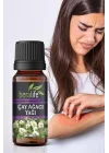 Beralife Çay Ağaçı Yağı - 20 Ml Çay Ağacı Yağı
