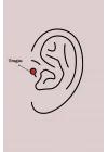 Mey İthalat® 316L Çelik Gümüş Renk Zirkon Taşlı Dal Tragus Piercing
