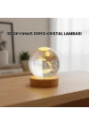 Mey İthalat® 3D Yunus Desenli Kristal Küre Ahşap Tabanlı Işıklı Dekor Objesi