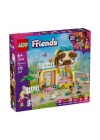 Mey İthalat® 42650 Friends Evcil Hayvan Aksesuar Dükkanı 375 parça +6 yaş
