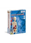 Mey İthalat®  64297 İnsan Anatomisi - Bilim ve Oyun +8 yaş