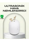 Mey İthalat® ABS+PP Malzemeli Taşınabilir 220 ml USB Mist Nemlendirici
