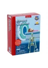 Mey İthalat® Bilim Seti : İnsan İskeleti