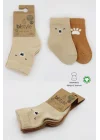 Mey İthalat®  Bear Penye Soket Çorap 2Li BS10116 Bej