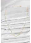 Mey İthalat® CM 14K Gold Renk Ezme Pul Model 60 cm Kadın Kolye
