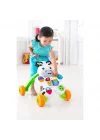 Mey İthalat® DLD80 ® Melodili Zebra Yürüteç