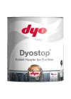 Mey İthalat® DYO stop Rutubet ve Nem Boyası 2,5 Litre