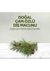 Mey İthalat®   Doğal Diş Macunu 90 Gr Çam Özlü