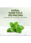 Mey İthalat®   Doğal Diş Macunu 90 Gr Nane Özlü