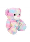 Mey İthalat®  Gökkuşağı Renkli Peluş Ayı 45 cm