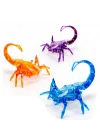 Mey İthalat® HexBots Nano Akrep