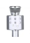 Mey İthalat® Karaoke Kablosuz Mikrofon