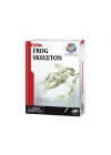 Mey İthalat® Kurbağa İskeleti Bilim Seti
