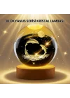 Mey İthalat® Lazer İşlemeli Yunus Kristal Küre Sıcak Işıklı Ahşap Standlı