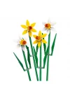 Mey İthalat® Nergis Kutlama Hediyesi 40747