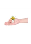 Mey İthalat® MN800010 - MN800000  Brands - Botanik Bahçe 77559