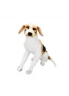 Mey İthalat® Oturan Beagle Peluş 68 cm.