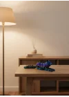 Mey İthalat® Rainbow hareketli kurt masa dekoru esnek eklem yapılı