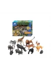 Mey İthalat® SH-5901 Kutulu 12 Parça Vahşi Hayvan Seti