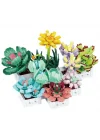Mey İthalat® Sukulent Çiçek Buketi 8842