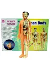 Mey İthalat® The Human Body İnsan Vücudu 3D Eğitim Seti 3302