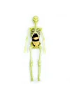 Mey İthalat® The Human Body İnsan Vücudu 3D Eğitim Seti 3302