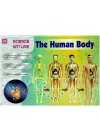 Mey İthalat® The Human Body İnsan Vücudu 3D Eğitim Seti 3302