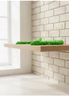 Mey İthalat® Yeşil Hareketli Ejderha Figürü Esnek Gövdeli Fantastik Dekor 60 cm