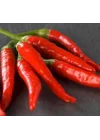 BİBER HATAY ACI (ÇOKLU TOHUM) - 5 Gram