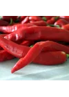 BİBER HATAY ACI (ÇOKLU TOHUM) - 5 Gram