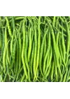 BİBER KIL ACI (ÇOKLU TOHUM) - 5 Gram