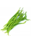 BİBER KIL TATLI (ÇOKLU TOHUM) - 5 Gram