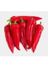 BİBER MARAŞ (ÇOKLU TOHUM) - 5 Gram
