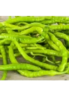 BİBER SİVRİ TATLI ÇORBACI (ÇOKLU TOHUM) - 5 Gram