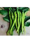 BİBER SİVRİ TATLI ÇORBACI (ÇOKLU TOHUM) - 5 Gram