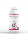 Biberiye Maserasyon Yağı Rosmarinus officinalis 1 litre
