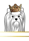 Biewer Terrier Dog Record and Memory Book: Dog Photo Album Pet Milestones Keepsake Book