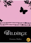 Bildirge