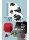 Bir Akşamdı