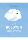 Bir Bulutun Hikâyesi