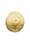 Bitcoin Hatıra, Altın Bitcoin Jetonu, Bitcoin (Bitcoin, 1)