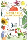Bitkilerin Yaşam Döngüsü