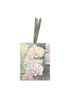 Black Orchid Kokulu Zarf Seti (3 adet)