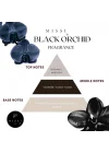 Black Orchid Kokulu Zarf Seti (3 adet)