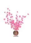 Bonsai Topu Pembe