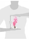 Bonsai Topu Pembe