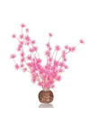 Bonsai Topu Pembe